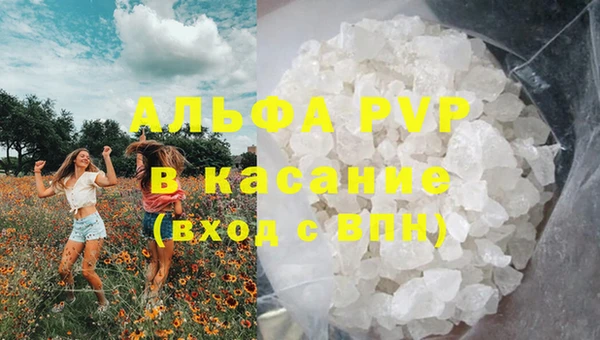 СК Аркадак