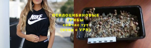 СК Аркадак