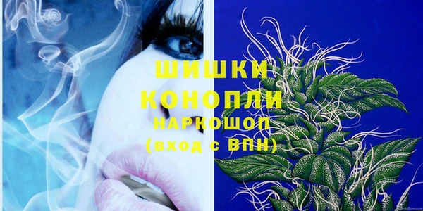 СК Аркадак