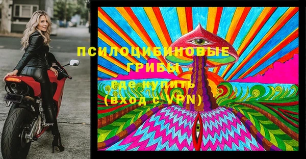 шишки Балахна