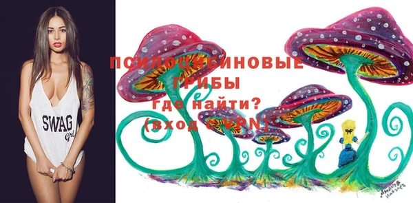молекула духа Балабаново